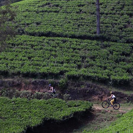 Heritance Tea Factory Nuwara Eliya Exterior photo